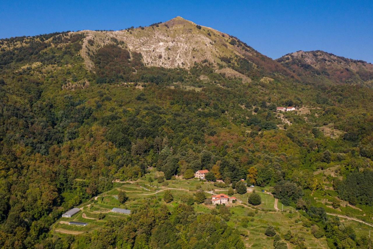Tavarone Agriturismo Giandriale מראה חיצוני תמונה
