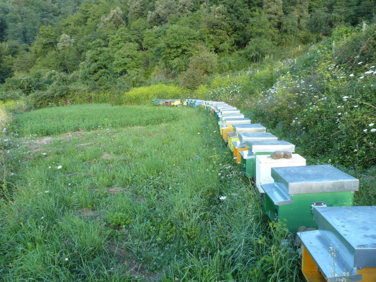 Tavarone Agriturismo Giandriale מראה חיצוני תמונה