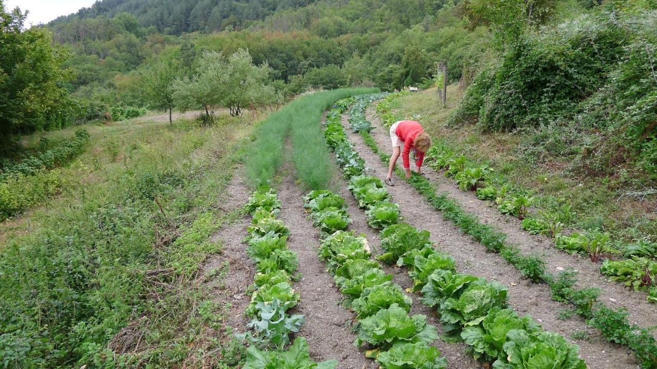 Tavarone Agriturismo Giandriale מראה חיצוני תמונה